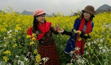 充满诗意的春游