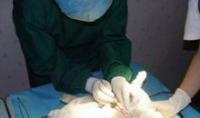 难忘的手术经历