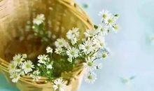 为他人开一朵尊重的花