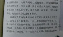 未来的学校作文