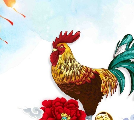 关于鸡年的有趣事实