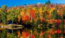 载着秋风飘向远方