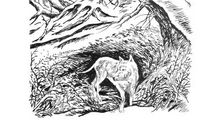 我们一起走·迪克读后感