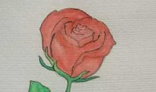 把花中在自己心里