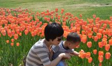 一次特别的春游