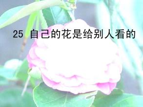 读完“我自己的花供别人看”后的思考