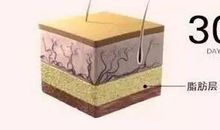 不要活成一坨肉