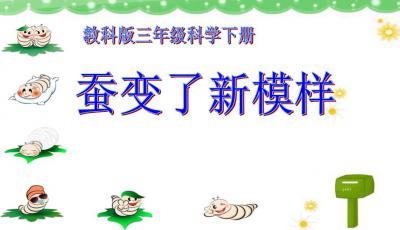 蚕