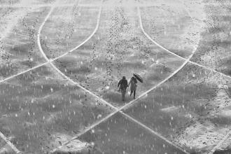 雪中​​的温暖