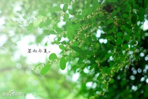 那深绿色