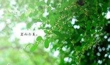 那一抹深沉的绿色