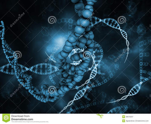 分子世界