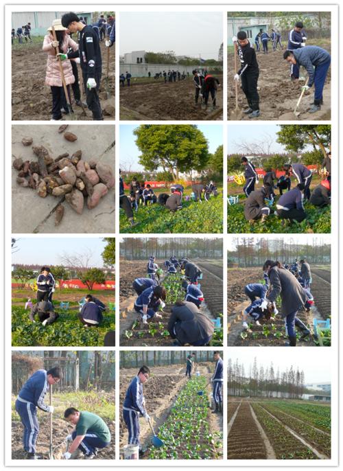 学习农业轶事