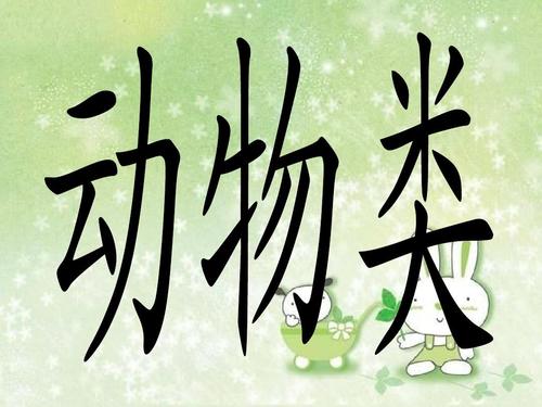 你玩我的猜猜活动