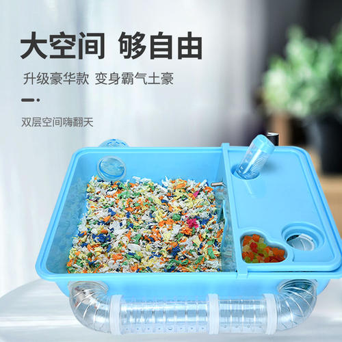小仓鼠是真实的，淘淘