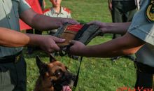 绿色家园，我的中国梦