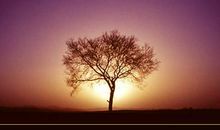 感动在心灵深处