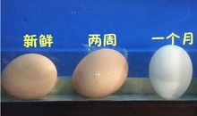 鸡蛋在盐水里的浮力