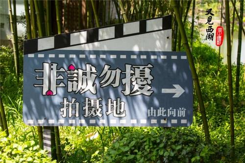 孝顺