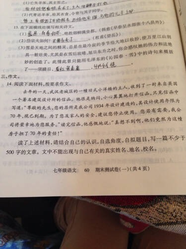 小玉给人类的信