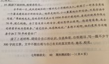 小鱼给人类的一封信