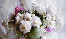 怒放的生命·梅