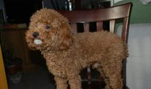 我家的新鲜事儿