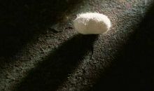 当心结遇到茧破的时候