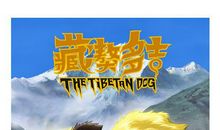 我家的藏獒多吉