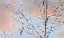 心宽不论风与晴