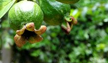 坚守那一份宁静