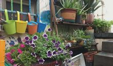 与疼痛相伴的日子