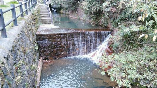 向泉湾