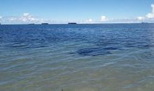 从未遇见的风景