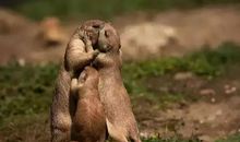 有一种滋味叫后悔