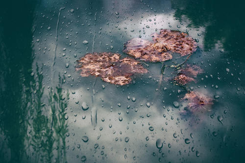 听雨