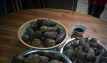 环保连着你我他