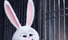 小小的细节大大的爱