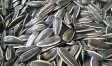 实践周之“食之不易”