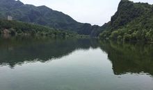 美丽的桃林水库