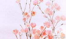 一束阳光的温暖