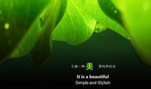 挽救一个绿色生命