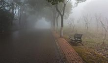 大自然一员——雾