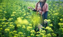 幸福在绿色中徜徉