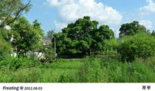 乡村景致小练笔四年级