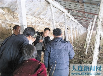 金鱼还晕车