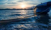 面朝大海终会等到春暖花开