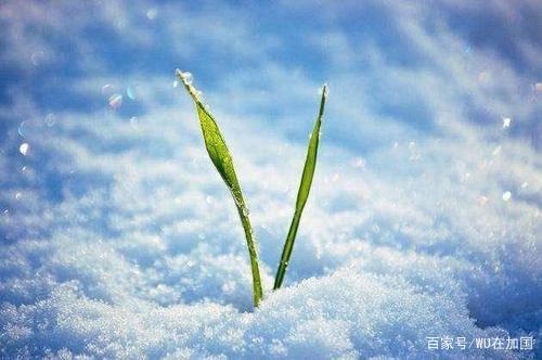 活力坚韧