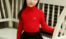 红色土地，红色力量