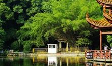 家乡的橘洲公园